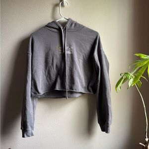 STS9 Grey Cropped Hoodie